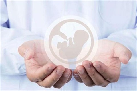 http://dongguan.hy-ly.com/post/203.html|东莞试管助孕