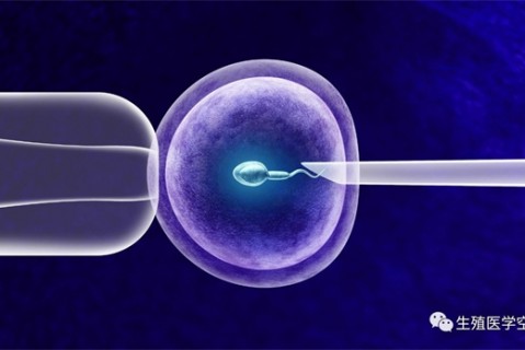 女人东莞代生孩子的最佳年龄段 一辈子生几个孩子最好